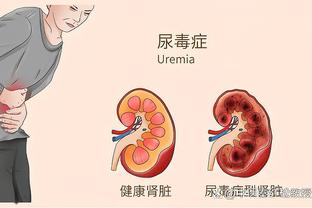 开云电竞官网登录入口下载截图3